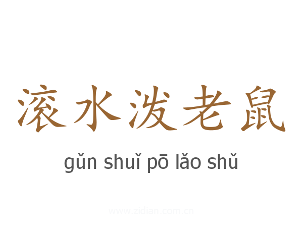 滚水泼老鼠