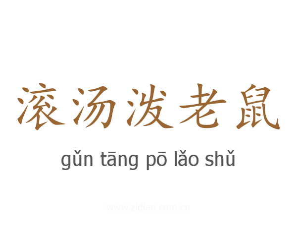 滚汤泼老鼠