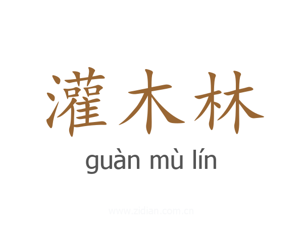 灌木林