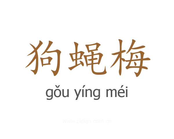 狗蝇梅