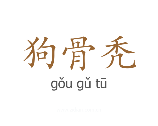 狗骨秃