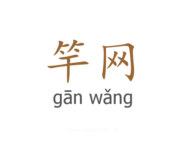 竿网