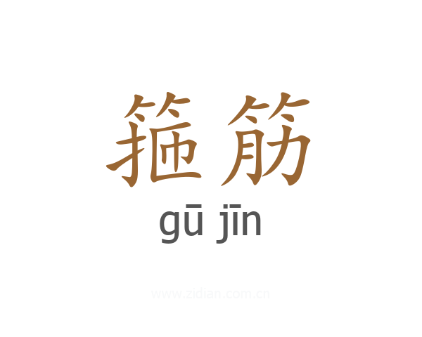 箍筋