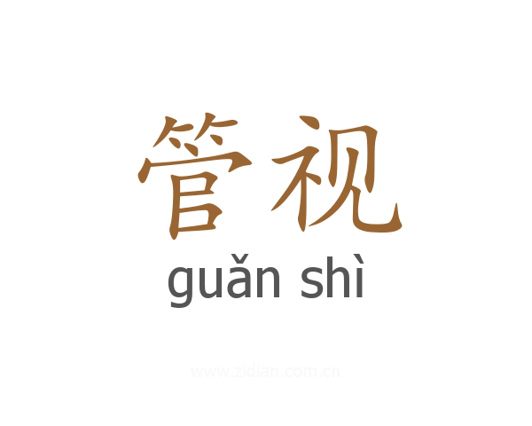 管视