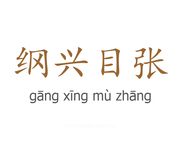 纲兴目张