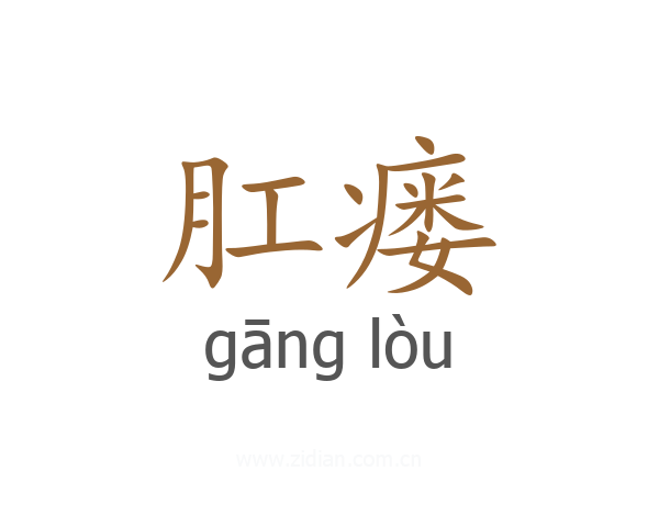 肛瘘