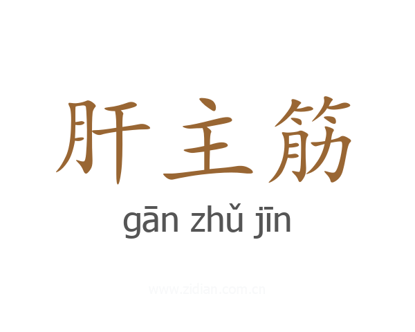 肝主筋