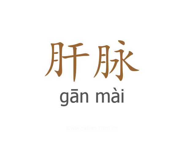 肝脉