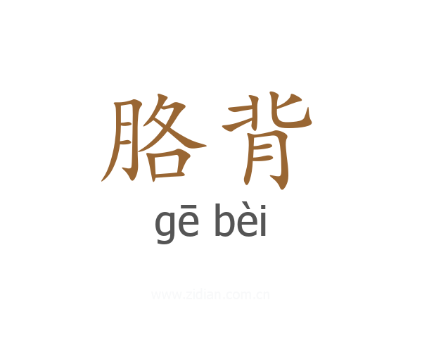 胳背