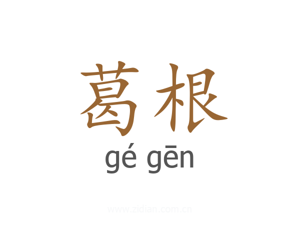 葛根