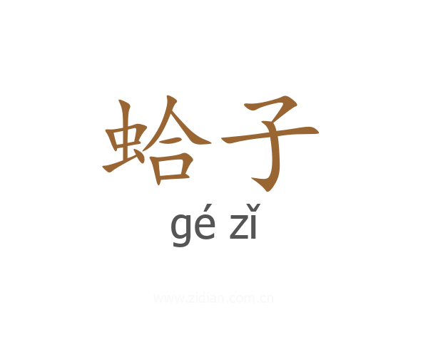 蛤子