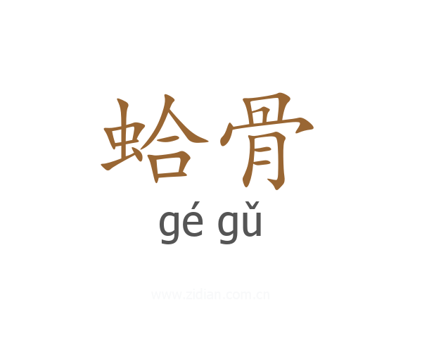 蛤骨
