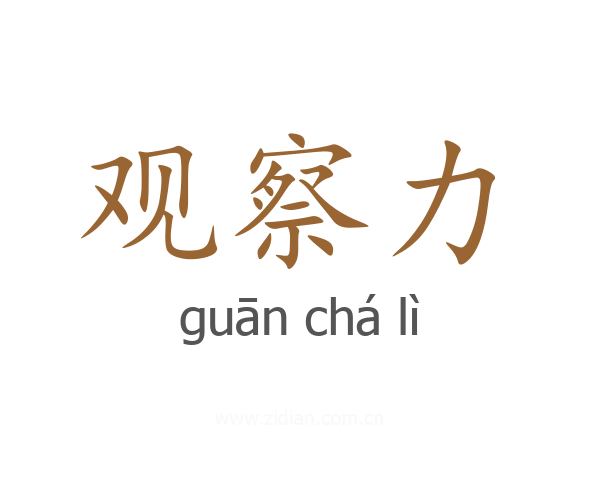 观察力