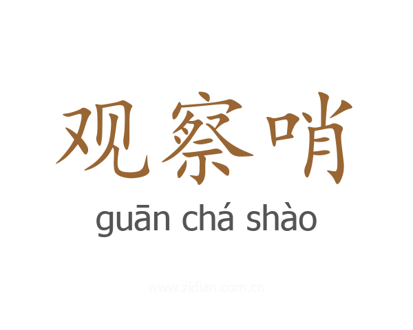 观察哨