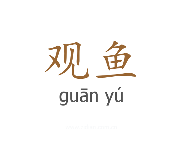 观鱼