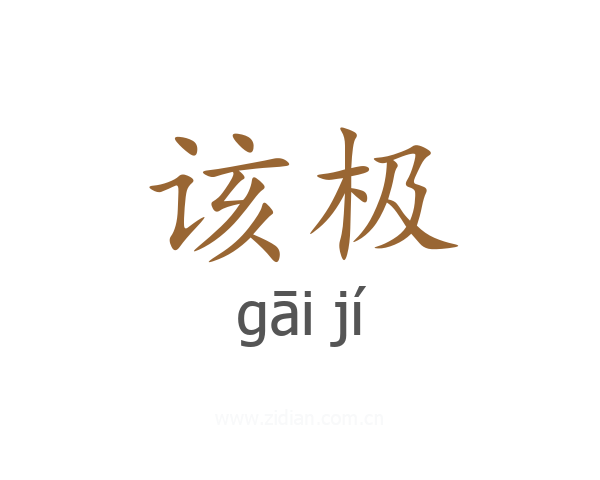 该极