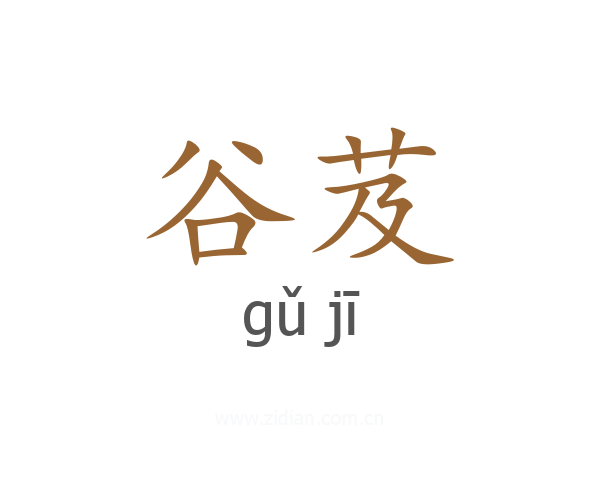 谷芨