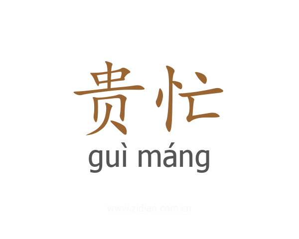 贵忙