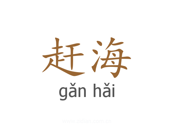 赶海