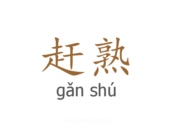 赶熟