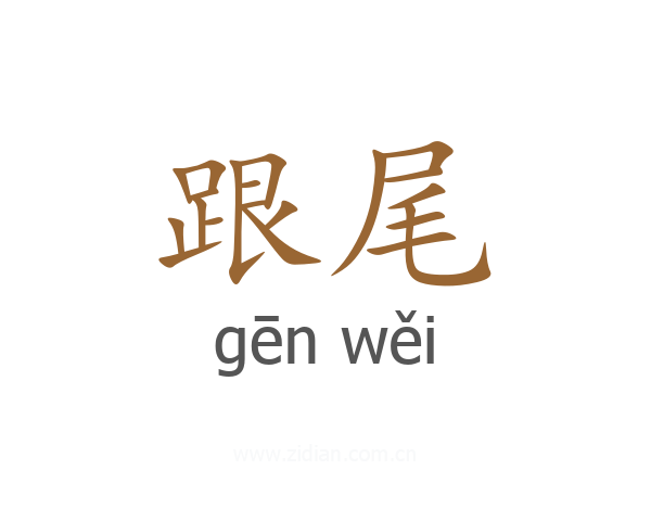 跟尾