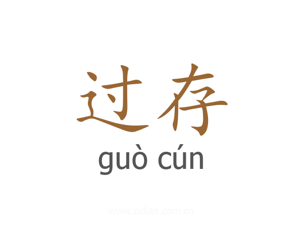 过存