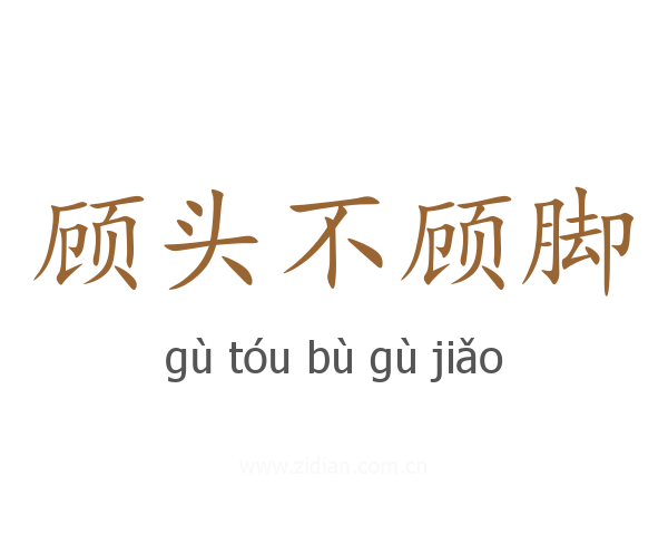 顾头不顾脚
