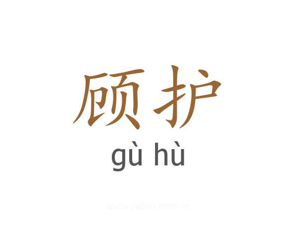 顾护