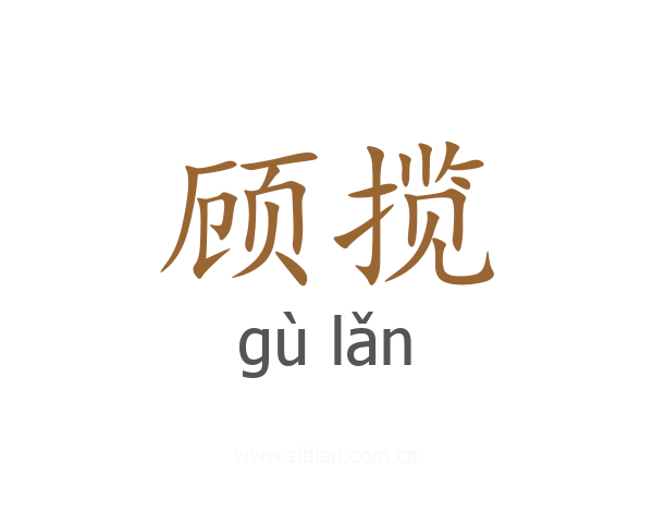 顾揽