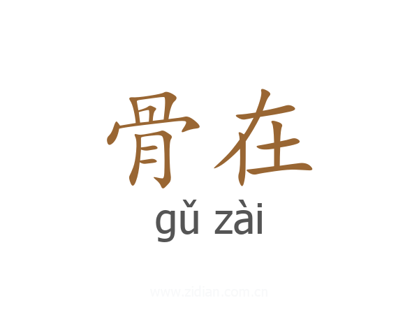 骨在