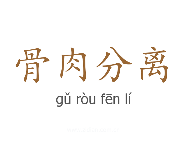 骨肉分离