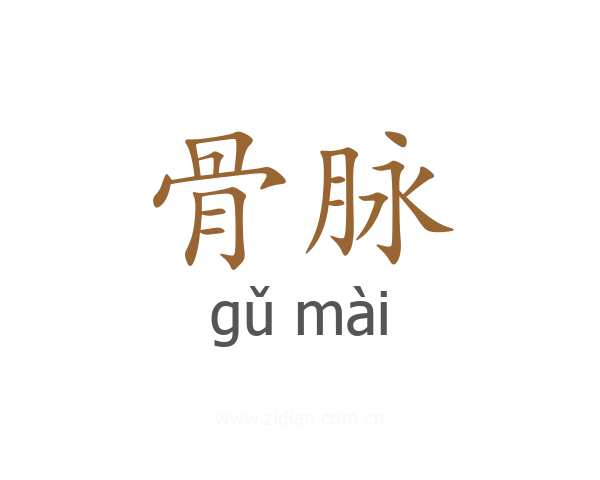 骨脉