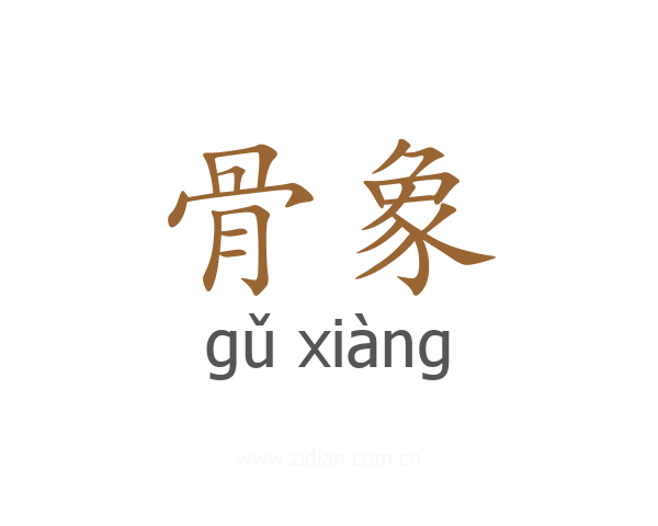 骨象