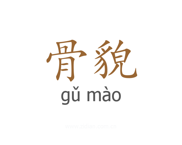 骨貌