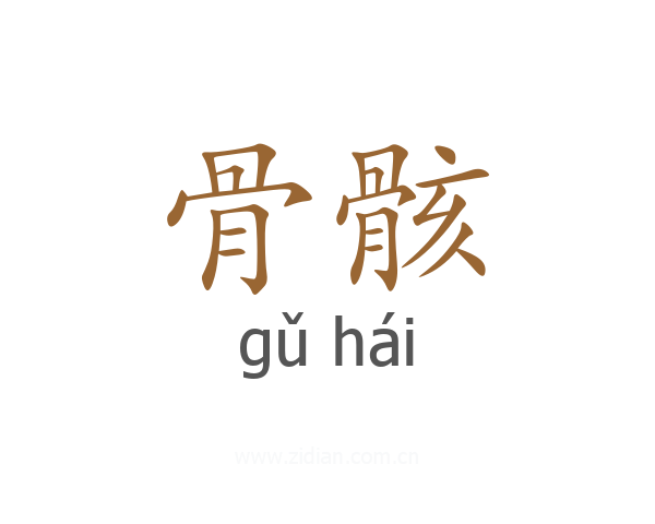 骨骸