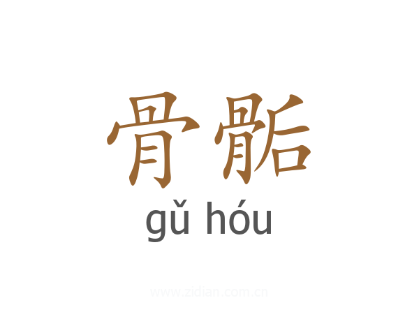 骨骺