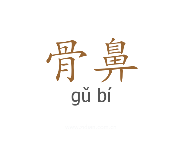 骨鼻