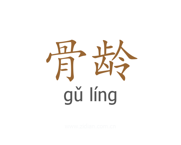 骨龄