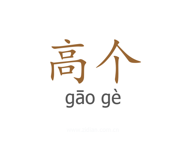 高个