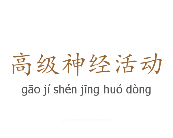 高级神经活动