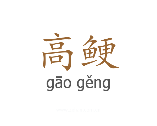 高鲠