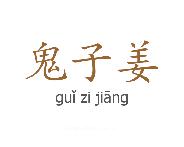 鬼子姜
