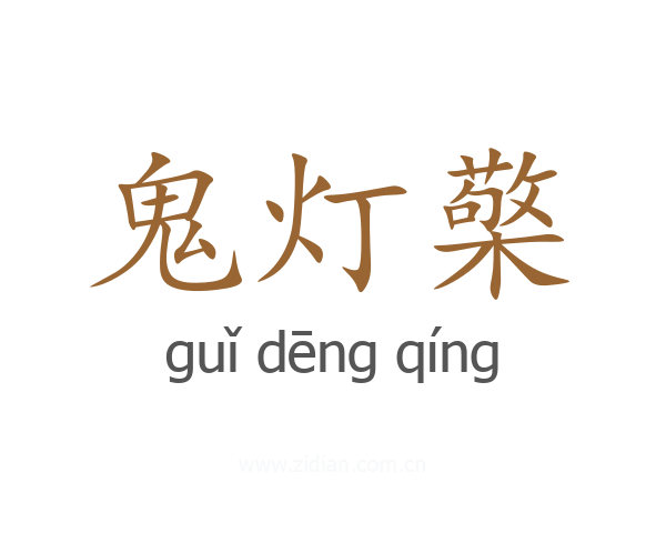 鬼灯檠
