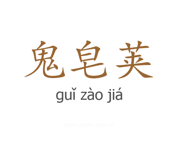 鬼皂荚