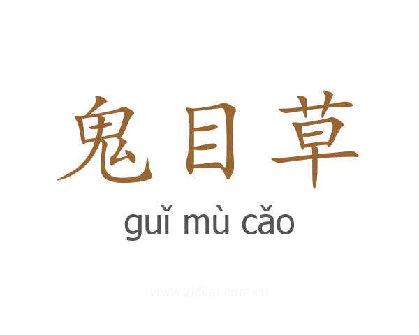 鬼目草
