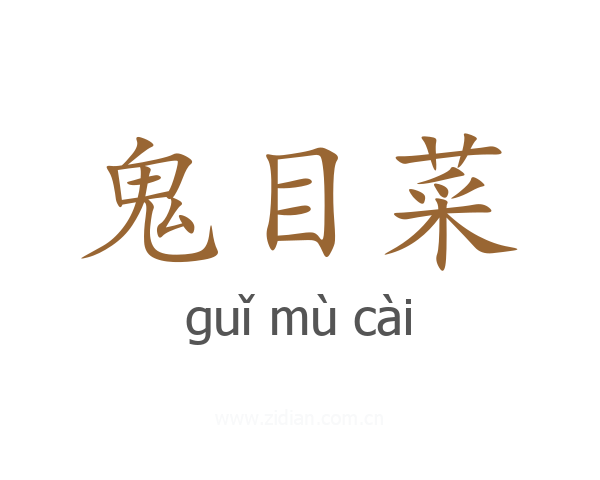 鬼目菜