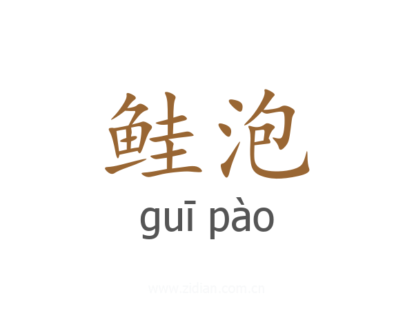 鲑泡