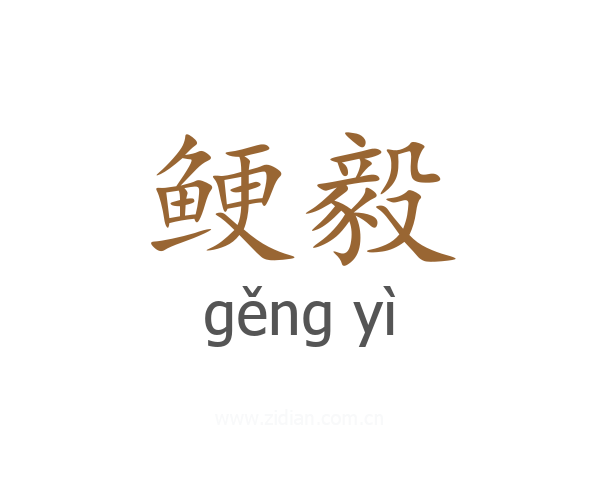 鲠毅