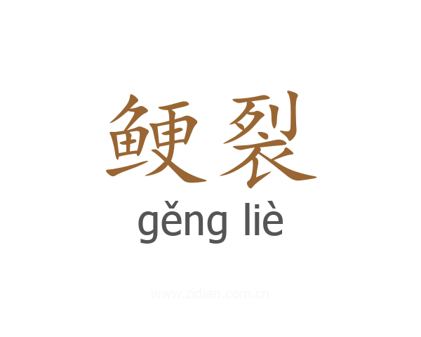 鲠裂