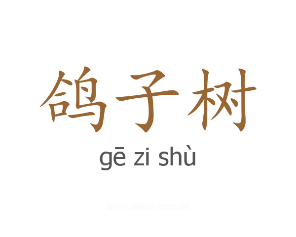 鸽子树